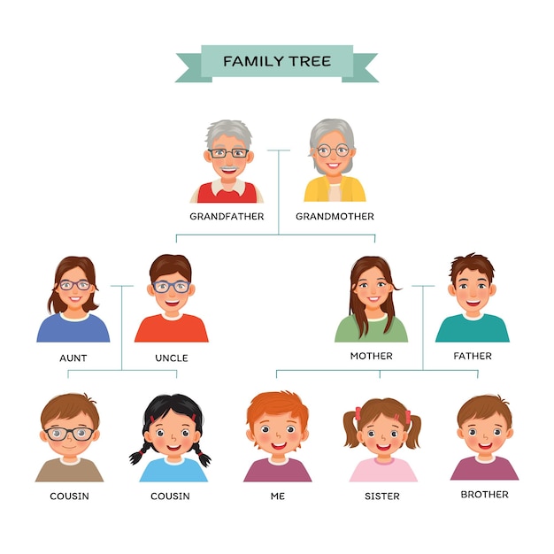 Vettore grafico dell'albero genealogico con avatar umani