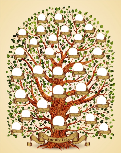 Vettore illustrazione del modello di albero genealogico