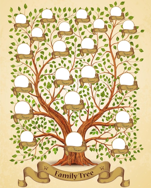 Illustrazione di vettore dell'annata del modello dell'albero genealogico