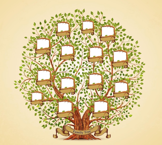 Family Tree template vintage vector illustration