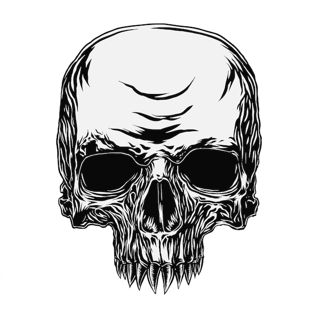 Vector fang skull ,hand drawn illustration