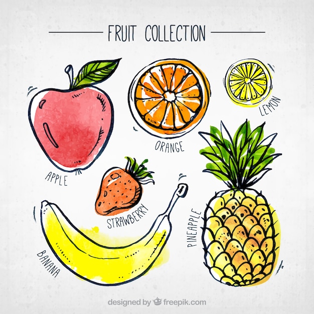 Vector fantastic collection of watercolor pieces of fruit