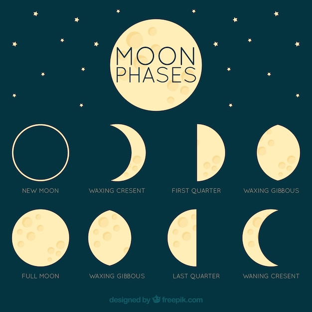 Fantastic moon in different phases