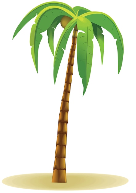 Fantastic palm