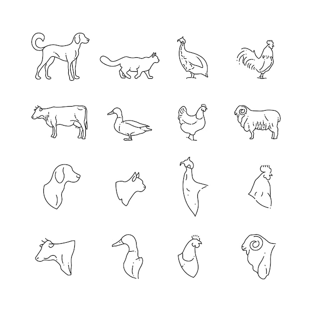 Farm animal and birds thin line icons