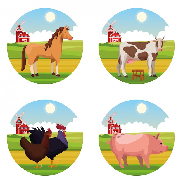 Vector farm animal cartoons