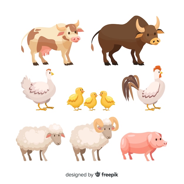 Farm animal collection