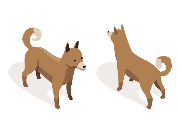 Vector farm animal isometric. domestic animal in 3d flat back and front view. cute game character of dog. vector icon