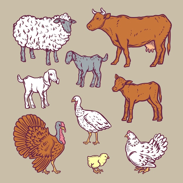 Farm animals detailed icon set