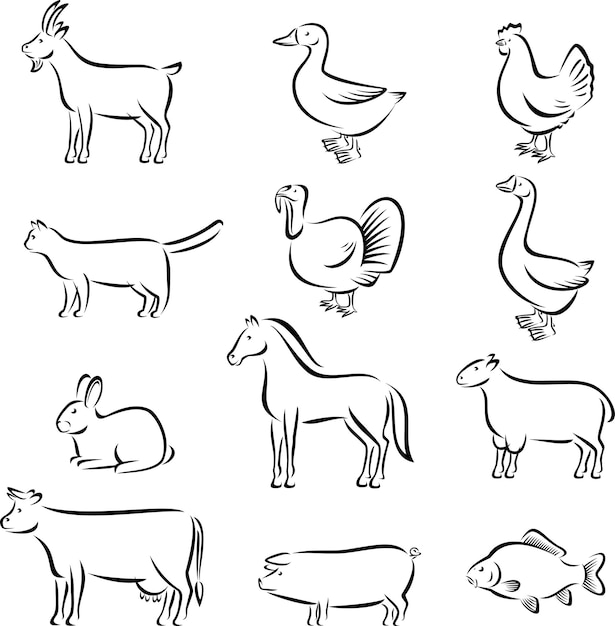 Vector farm animals set vector