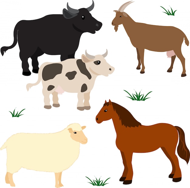Vector farm animals set