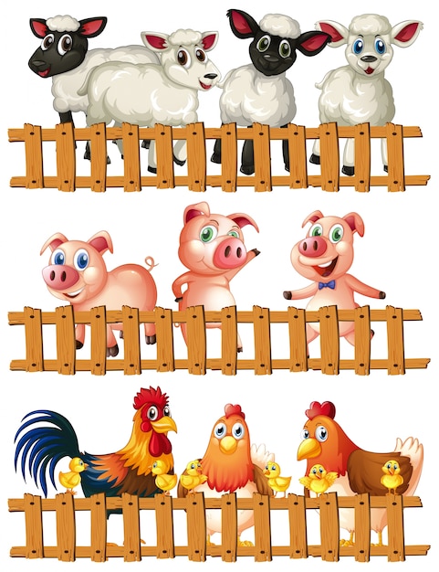 Farm animals behind the wooden fence illustration