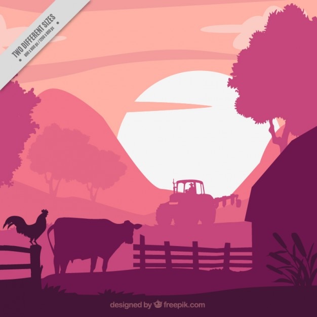 Vector farm background in purple tones