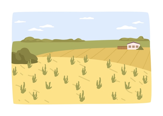 Vettore campo agricolo con coltivazioni agricoltura zona villaggio