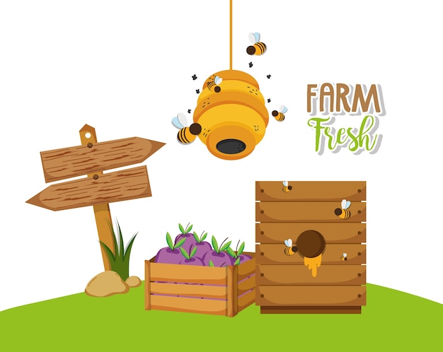 Vector farm fresh cartoons