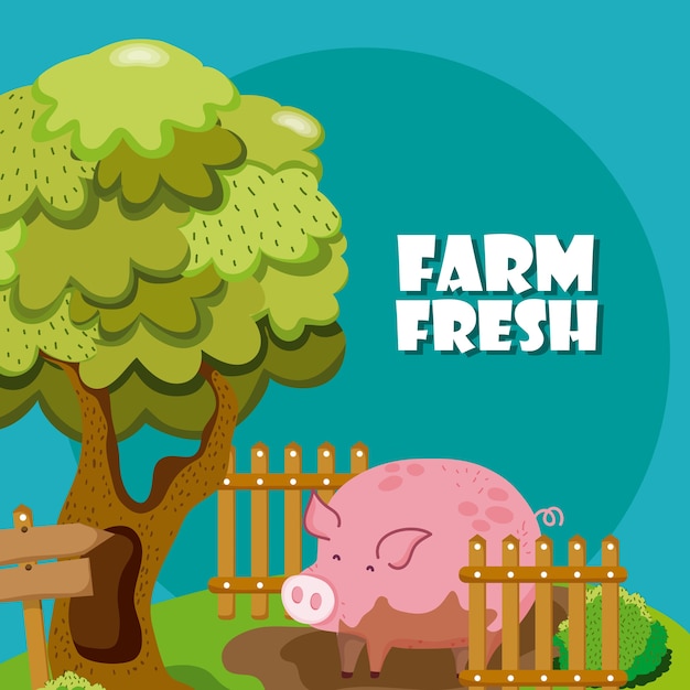 Farm fresh cartoons