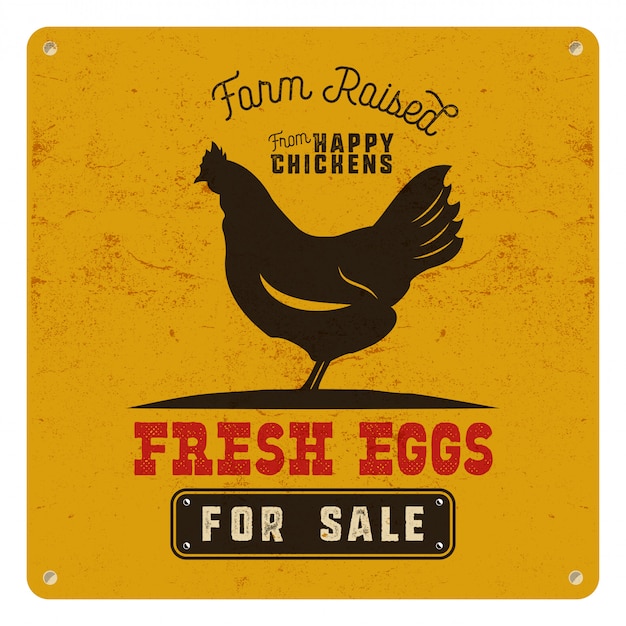 Vector farm fresh eggs poster, card on yellow vintage rusty metal background with chicken. retro typography style.