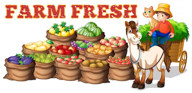 Farm fresh products and farmer