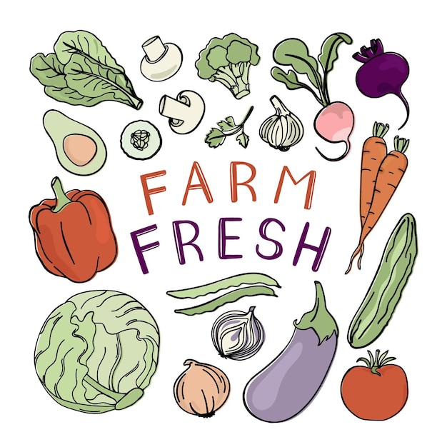 Vector farm fresh vegetable healthy menu vector illustration set