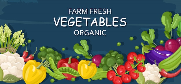 Vector farm fresh vegetables