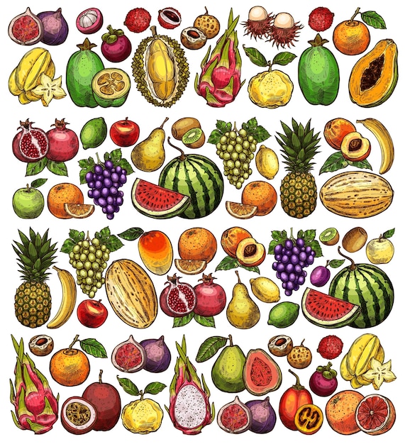 Vector farm and garden fruits sketch food background