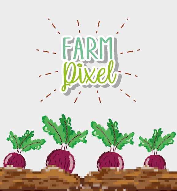 Vector farm pixel cartoons