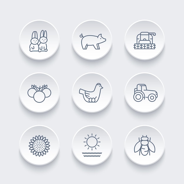 Farm, ranch line icons set, hen and eggs, pig, crop, vegetables, sunflower, harvest