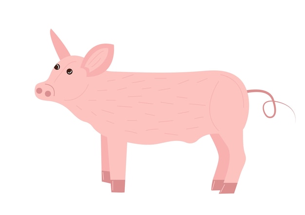 흰색 배경에 고립 된 평면 스타일의 농장 소박한 국내 돼지 농업 동물