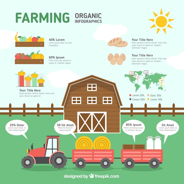 Vector farm with organic infographic elements