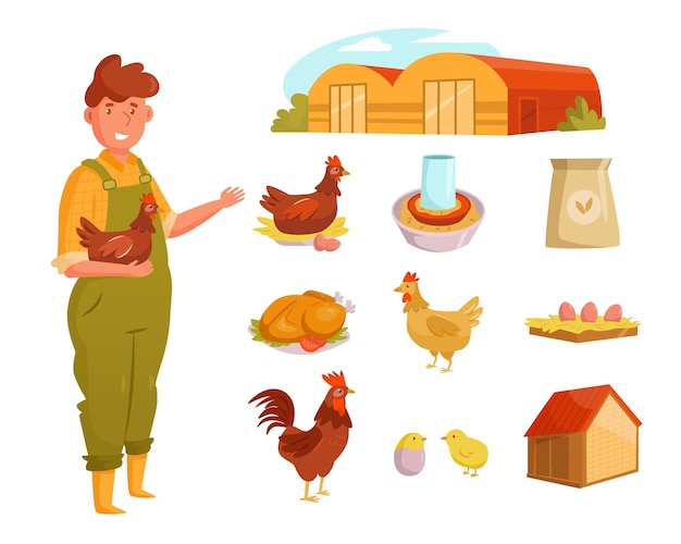 Vector farmer character and domestic birds vector illustrations set. poultry farm elements: hens and rooster, little chickens, eggs, fowl isolated on white background. farming, agriculture concept