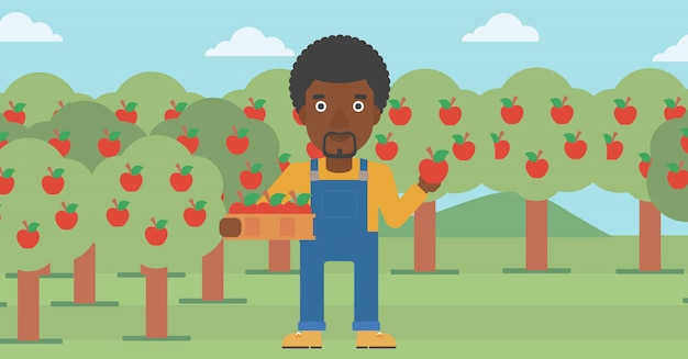 Vettore agricoltore che raccoglie mele