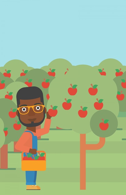 Vector farmer collecting apples