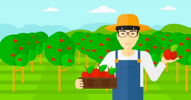 Farmer collecting apples.