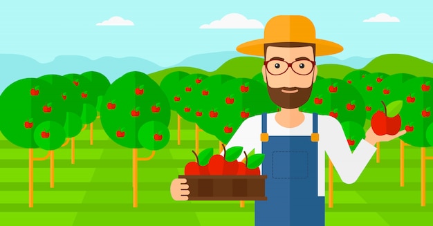 Farmer collecting apples.