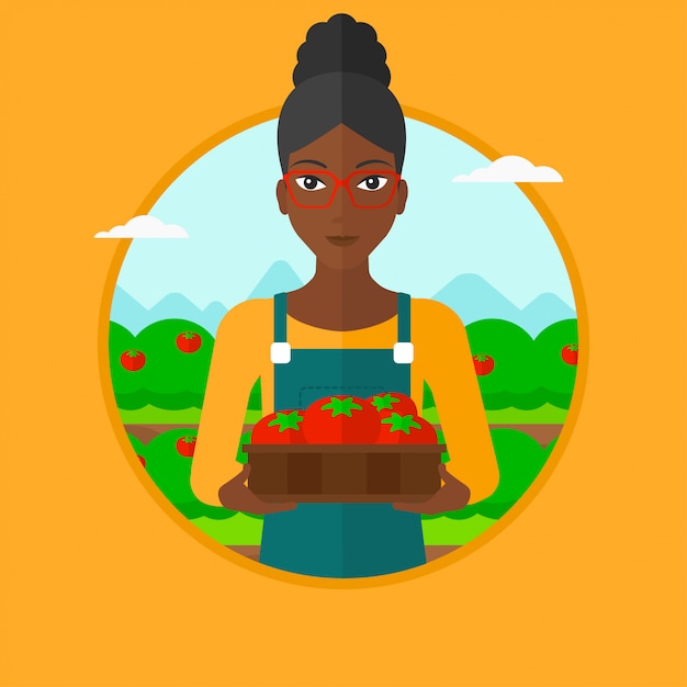 Farmer collecting tomatos vector illustration.