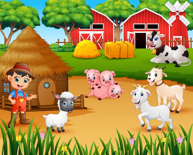 Farmer and farm animal in the farmyard