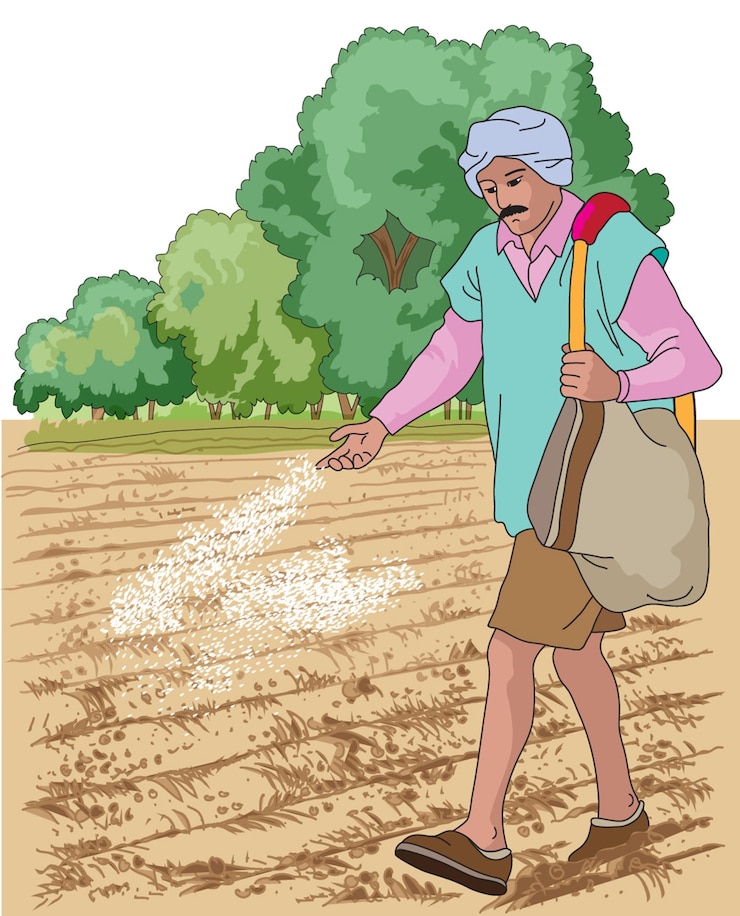 वेक्टर farmer sowing seeds in the field