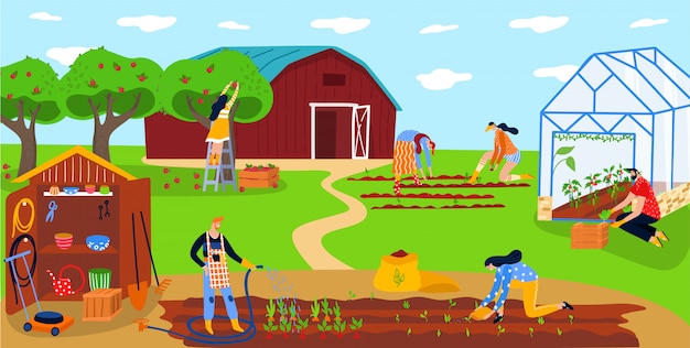 Gli agricoltori che piantano le verdure, la gente felice lavorano insieme sull'azienda agricola locale di eco, illustrazione