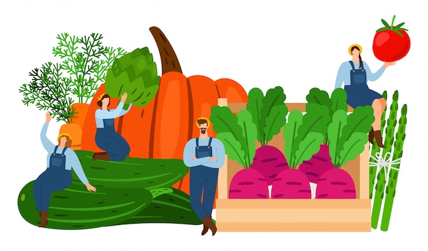 Vector farmers and vegetables. harvest time vector illustration.