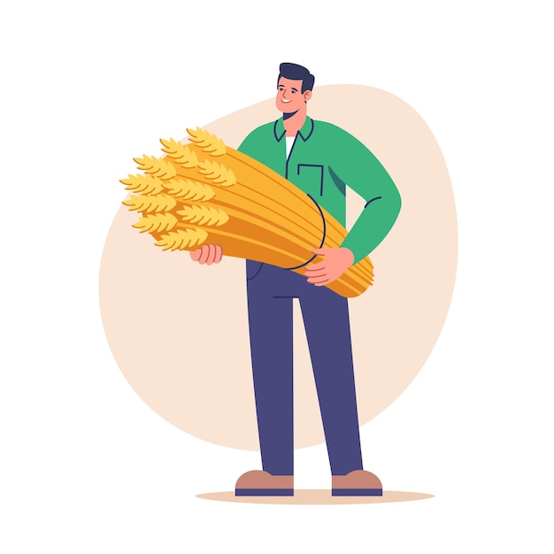 Vector farming and agriculture harvesting farmer male character holding freshly harvested wheat