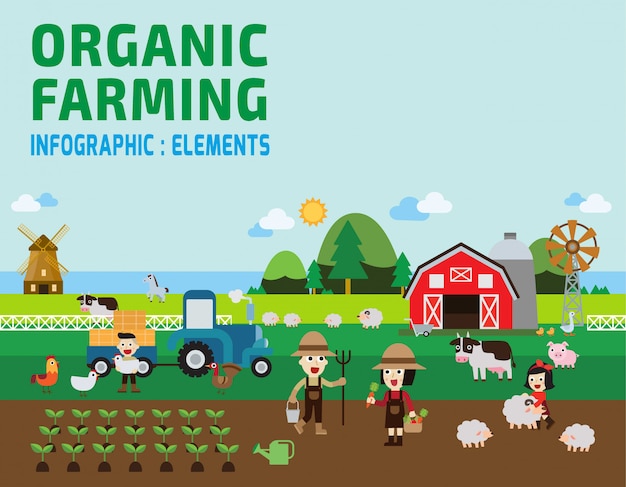 Agricoltura illustrazione infografica.