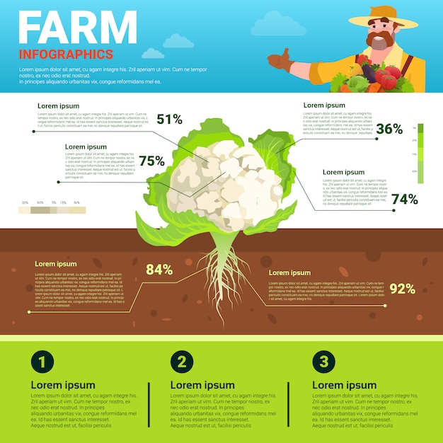 Agricoltura infographics eco naturale organico vegetale crescita vegetale banner di produzione agricola
