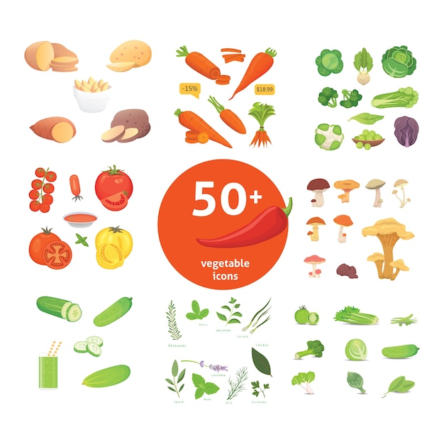 Vector farming production, vegetables icons set. healthy food illustration.