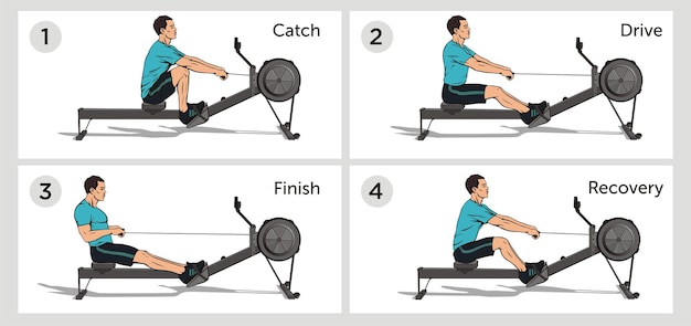 Вектор Изображение схемы руководства для упражнений по гребле