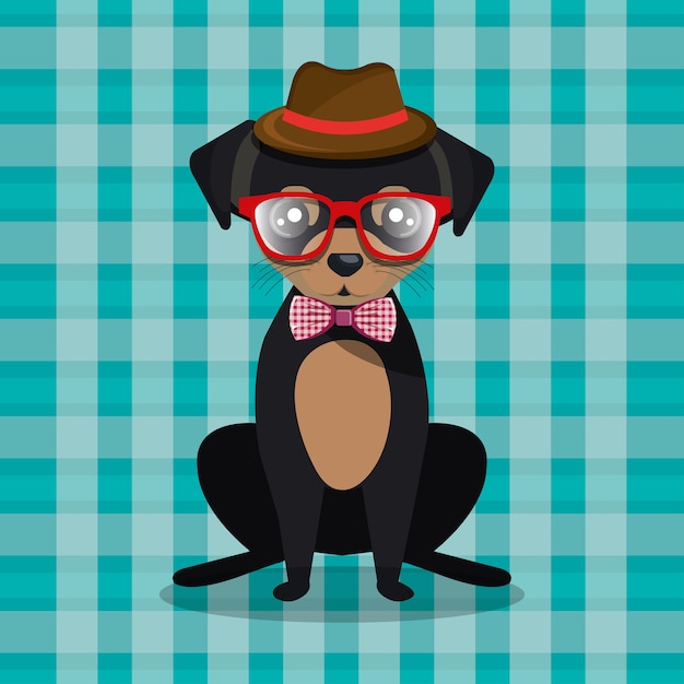 fashion dog puppy sit hat glasses bow checkered background
