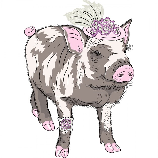 fashion funny piggy in beautiful hat wit flowers and gart illustration