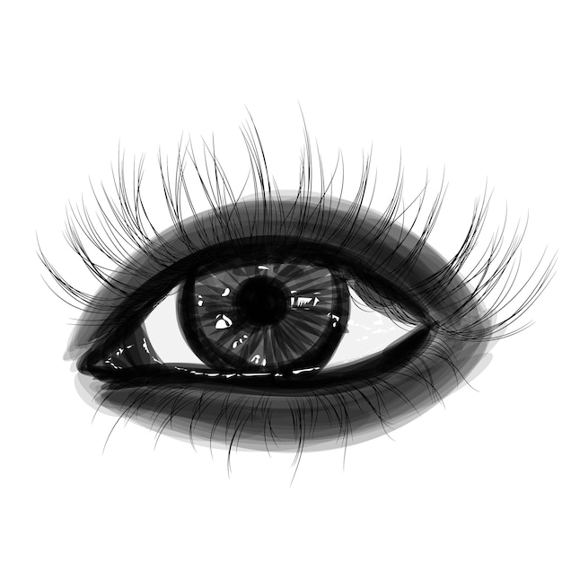 fashion illustration of the eye with long full lashes