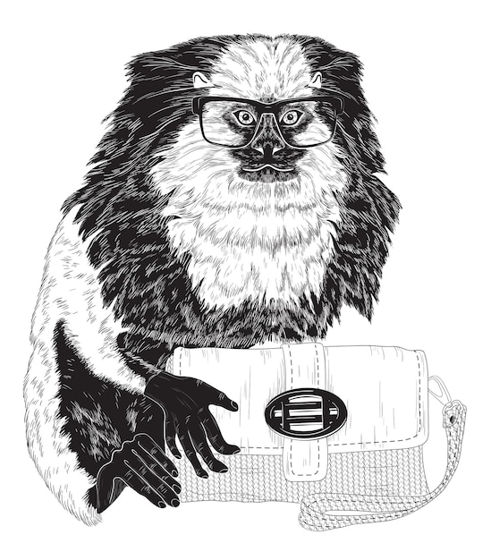 Fashion marmoset in stylish glasses with bag