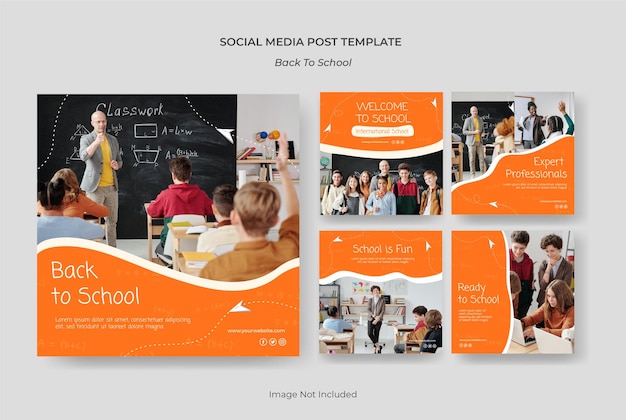 fashion template feed