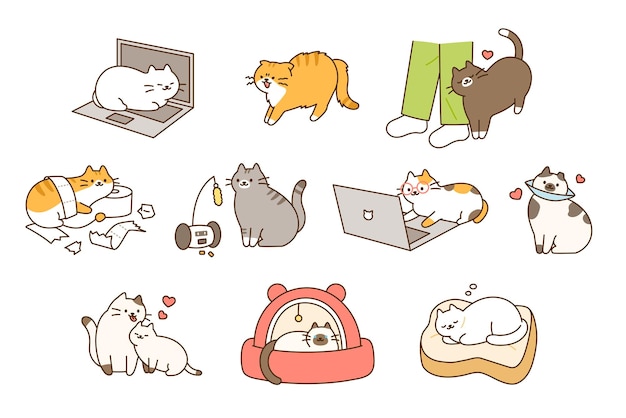 Vector fat cute cat lifestyle they play pranks have accidents and play comfortably and happily